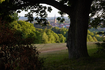 Summer Tapton Park Spire This landscape photograph captures Tapton Park in the United Kingdom during a summer evening. The image prominently features the spire of Summer Tapton Park, rising above the town and framed by large, mature trees in the foreground. The park's expanse of grass and surrounding woods display lush green foliage typical of the season, with sunlight gently illuminating the scene. Nature is a fundamental element in the photograph, as the trees and wooded areas create a verdant border that leads the eye towards the town and the spire, which stands out as a local landmark. The photograph effectively showcases the beautiful integration of Tapton Park with its natural surroundings and built heritage in the United Kingdom.